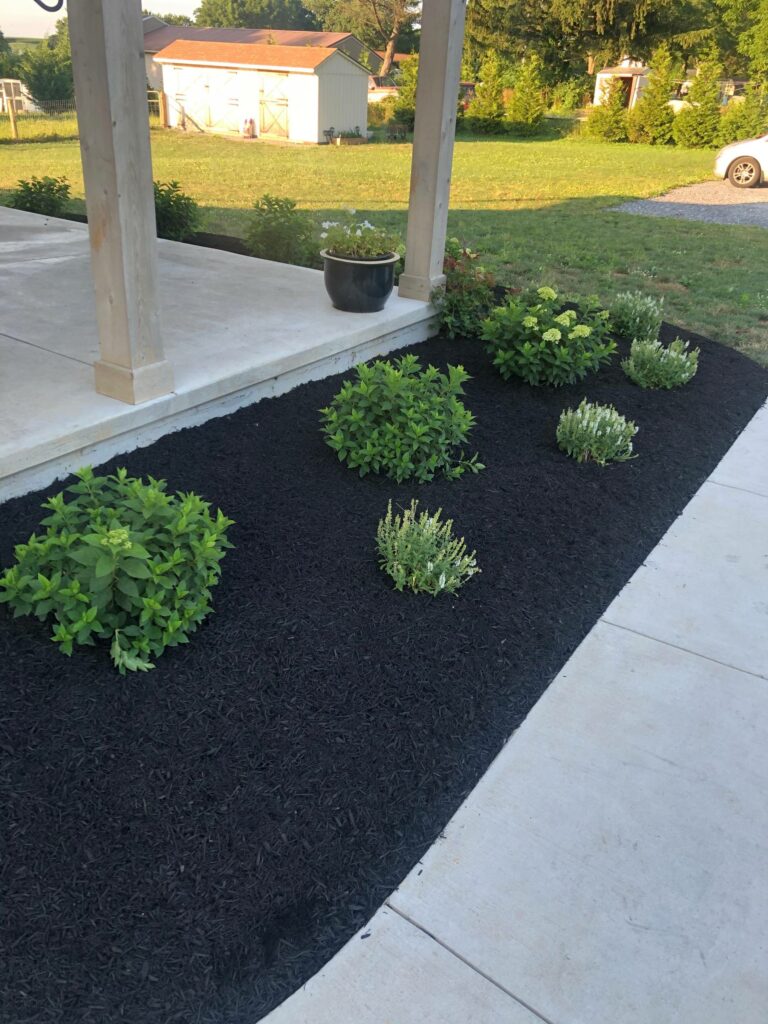 when to mulch flower beds